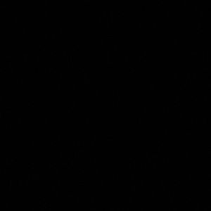 Meet your Posher, Kendall